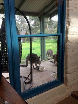 Stawell Holiday Cottages Buitenkant foto